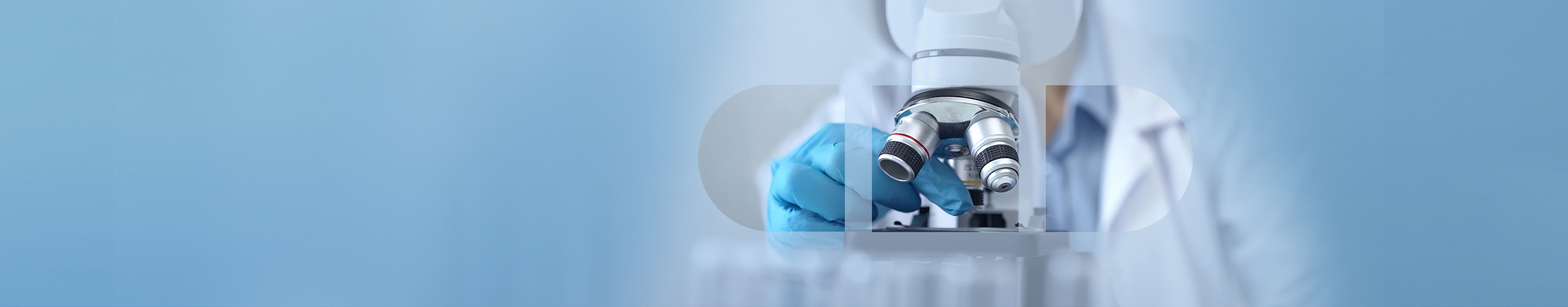 Our focus is <br> on premium quality <br> and maximum efficacy. Our focus is on premium quality and maximum efficacy.